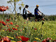 Medicina personalizzata, in bici sulla via Francigena per prevenzione e ricerca contro il cancro Medicina personalizzata, in bici sulla via Francigena per prevenzione e ricerca contro il cancro