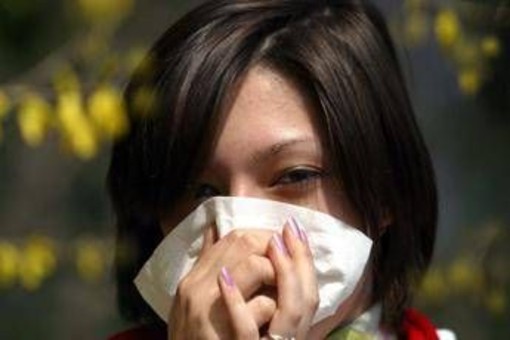 Allergie, con ondata calore precoce boom casi, esperto 'stagionalità sta svanendo' Allergie, con ondata calore precoce boom casi, esperto 'stagionalità sta svanendo'