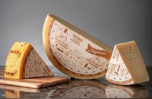 Asiago Dop, nel 2025 crescono produzione, quotazioni e consumi Asiago Dop, nel 2025 crescono produzione, quotazioni e consumi