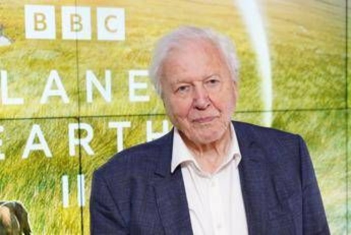 David Attenborough compie 100 anni e riceve un regalo speciale dal Museo di Storia Naturale David Attenborough compie 100 anni e riceve un regalo speciale dal Museo di Storia Naturale