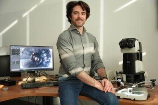 Milano-Bicocca, Erc Consolidator Grant da 3 mln per studiare ruolo zolfo in evoluzione Terra Milano-Bicocca, Erc Consolidator Grant da 3 mln per studiare ruolo zolfo in evoluzione Terra