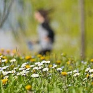 Stop alle piogge, arriva la primavera: sole e temperature in salita in tutta Italia Stop alle piogge, arriva la primavera: sole e temperature in salita in tutta Italia