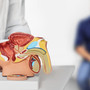 Tumore prostata ad alto rischio recidiva, nuova terapia riduce del 58% rischio morte o metastasi Tumore prostata ad alto rischio recidiva, nuova terapia riduce del 58% rischio morte o metastasi