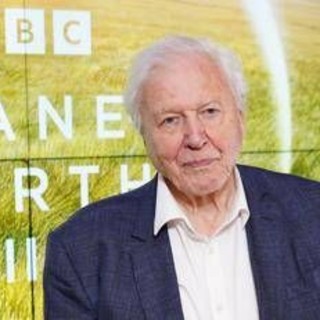 David Attenborough compie 100 anni e riceve un regalo speciale dal Museo di Storia Naturale David Attenborough compie 100 anni e riceve un regalo speciale dal Museo di Storia Naturale