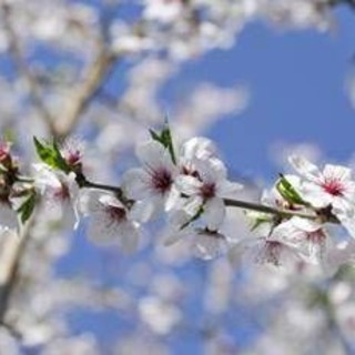 Dai temporali al bel tempo, arriva la prima fiammata estiva con i primi 30-32°C nel weekend