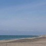 Cadavere sul bagnasciuga a Ostia, indagini in corso Cadavere sul bagnasciuga a Ostia, indagini in corso