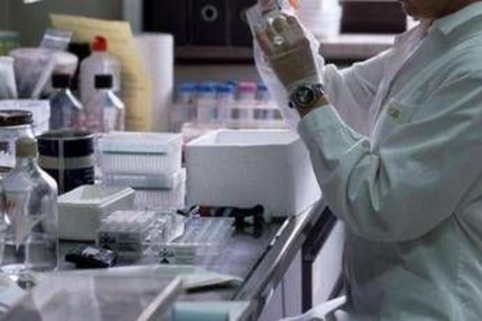 Melanoma, nuove speranze da vaccino sperimentale di Moderna e Merck: "Risultati promettenti"