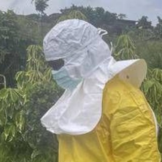 Ebola, Pregliasco: "Chi parla di rischio zero racconta una favola"