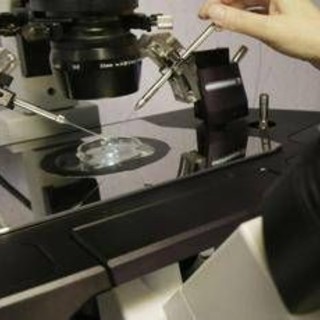 Fecondazione, la salute del padre ha un ruolo anche prima del concepimento