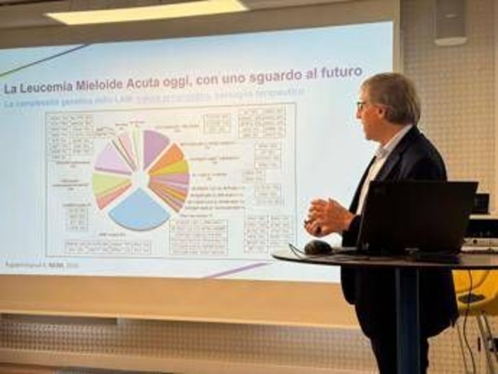 Farmaci, disponibile in Italia quizartinib in leucemia mieloide acuta Flt3-Itd Farmaci, disponibile in Italia quizartinib in leucemia mieloide acuta Flt3-Itd