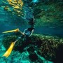 Italiani morti alle Maldive, l'ipotesi: "Uno in difficoltà, gli altri in soccorso" Italiani morti alle Maldive, l'ipotesi: "Uno in difficoltà, gli altri in soccorso"
