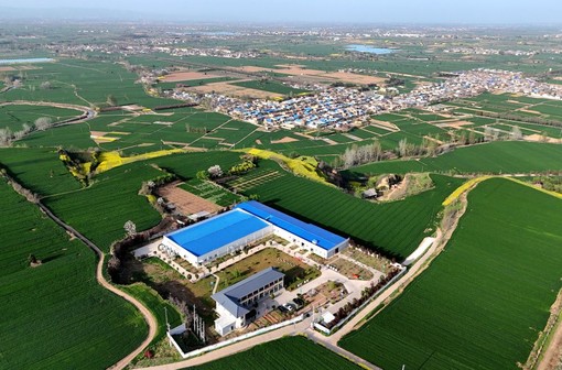 Cina, le industrie legate alle zone rurali in crescita nel primo trimestre